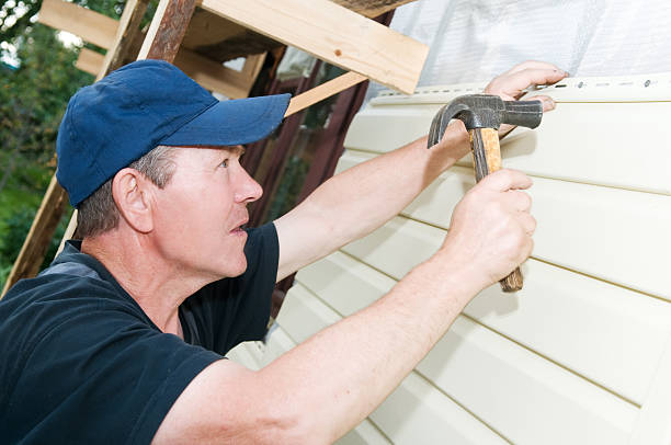 Best Vinyl Siding Installation  in Avilla, AR